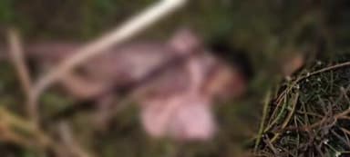 मोहम्मदगंज: मोहम्मदगंज में रेलवे ट्रैक के किनारे मिली नवजात बच्ची का शव, एफआईआर दर्ज, पोस्टमार्टम के लिए भेजा गया