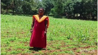 तोकापाल: तोकापाल में लखपति दीदी योजना से महिलाओं ने स्वरोजगार के माध्यम से आत्मनिर्भरता की नई मिसाल गढ़ी