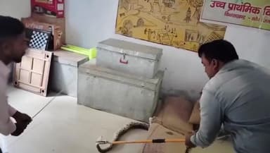 कौंच: उच्च प्राथमिक विद्यालय कूंड़ा के स्टोर रूम में 10 फीट लंबा अजगर निकलने से मचा हड़कंप, वन विभाग की टीम ने उसे जंगल में छोड़ा