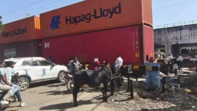 ब्यावर: मिल रोड फाटक पर हादसा: मालगाड़ी की चपेट में आई गाय, 15 मिनट तक रुकी रेल और थमी शहर की रफ्तार