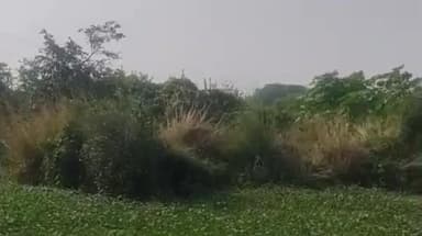 माधौगढ़: सरावन गांव में मरघट न होने से परेशान मृतक के परिजन, ग्रामीणों ने लगाए गंभीर आरोप