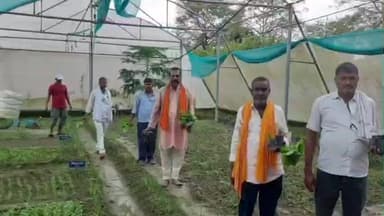 मझौलिया: माधोपुर के केवीके में केले और मटर की खेती ने दिखाई लाभदायक राह