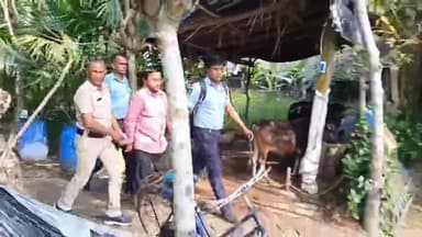 হিঙ্গলগঞ্জ: বিদেশে কাজের প্রলোভন দেখিয়ে লক্ষ লক্ষ টাকা হাতানোর অভিযোগে এক ব্যক্তিকে গ্রেফতার করল হিঙ্গলগঞ্জ থানার পুলিশ