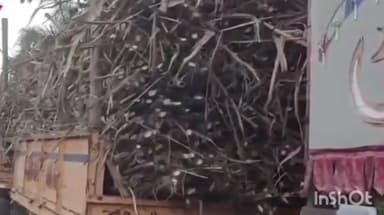 पलूस: स्वाभिमानी शेतकरी संघटना आक्रमक ,ऊस दरासाठी भिलवडीत ऊस वाहतूक रोखण्यात आली