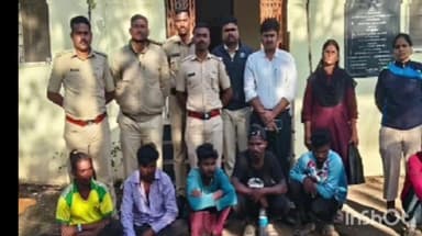 तासगाव: हातनुर येथे ऊसतोड टोळीकडून मोराची शिकार,सहा जणांवर गुन्हा दाखल