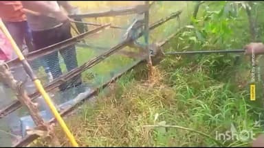 শালতোড়া: ঢেঁকিয়া গ্রামে প্রায় ৬ ফুট লম্বা বিশাল ময়াল সাপ উদ্ধার করল শালতোড়া বনদপ্তর, এলাকায় চাঞ্চল্য