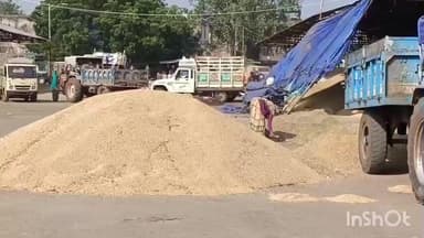 सरदारपुर: राजगढ़ मंडी में सोयाबीन की 5891 बोरी की आवक, भाव में तेजी और नीलामी समय में बदलाव