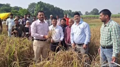 सुल्तानपुर: डीएम ने खरीफ फसल धान की कटाई का शुभारंभ किया, किसानों से पराली न जलाने की अपील की