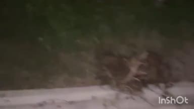 నరసన్నపేట: రెల్లివలసలో విద్యుత్ స్తంభాలు మారుస్తుండగా ట్రాక్టర్ బోల్తా పడి ఒకరి మృతి, ఇంకొకరికి తీవ్ర గాయాలు