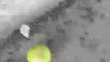 राधानगरी: स्मशानभूमीत टाचण्या टोचलेले लिंबू आढळून आल्याने मुरगूड शहरात खळबळ, निवडणुकीच्या पार्श्वभूमीवर राजकीय डावपेच?