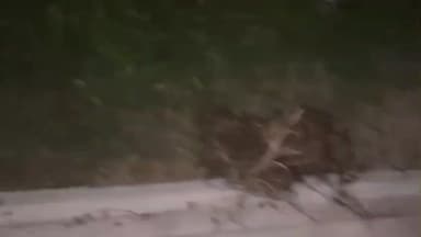 నరసన్నపేట: నరసన్నపేట మండలం రెల్లివలసలో విద్యుత్ స్తంభాలు మారుస్తుండగా జరిగిన ప్రమాదంలో ఒకరు మృతి