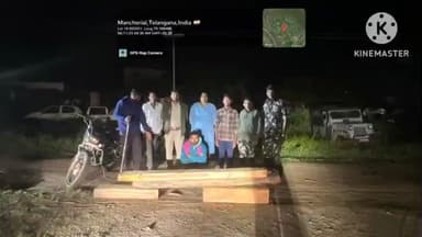 జన్నారం: అక్రమంగా కలపను తరలిస్తున్న వ్యక్తి అరెస్ట