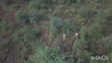 घाटीगांव: ग्वालियर में पुलिस-डकैत मुठभेड़, बेहट थाना प्रभारी को लगी गोली, योगी गुर्जर गिरोह की तलाश जारी