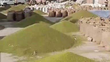 मेड़ता: मेड़ता सिटी कृषि मंडी में शुक्रवार को रहेगा अवकाश