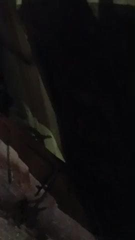 सोमलसर नोखा कम्पर टैक्सी की भङता टैक्सी सवार एक मौत और दो घायल #नोखा #bikanker rajasthan