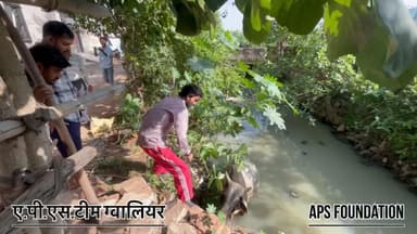 लड़ते लड़ते नाले में चले गाये नंदी महाराज..।
Respect girls help poor help animals
#apsgurjar #help #gwalior