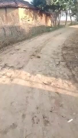 अमदाहा चरणपुर का समस्यात्मक खबर रोड का हालात चार्जर#naugrh#virl