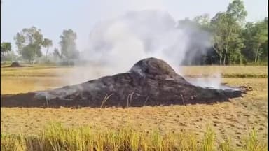 रुदौली: मवई ब्लॉक क्षेत्र में खेतों में धान की पराली जलाने से फैला धुआं, पालतू पशुओं के चारे और बिछावन पर गहरा संकट