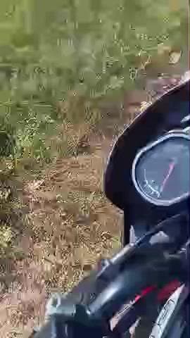 village sinjo manika latehar me 09/11/25 or 10/11/25 ko 2 Day mela Lag raha hai. Ji Midia Ramdeo Singh kharwar .