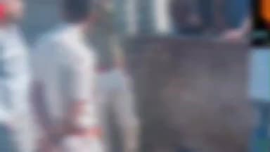 गोगुन्दा: सायरा के पुनावली में करंट की चपेट में आया पैंथर, मौके पर हुई मौत