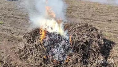 જાફરાબાદ: માવઠાના મારથી મોટા માણસાના ખેડૂતનુ સપનુ તૂટી પડ્યુ,કમૌસમી માવઠાથી ગામના ખેડૂતને લાખોનું નુકસાન, સરપંચની સહાય ચૂકવવા રજૂઆત