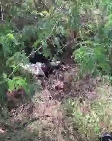 అలంపూర్: వడ్డేపల్లి మండలం జులకల్ స్టేజి చంద్రశేఖర్ నగర్ మధ్యలో ఘోర రోడ్డు ప్రమాదం లారీ, ఆటో డికొని 2 యువకులు మృతి