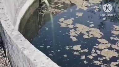 अमरवाड़ा: कांग्रेसी नेता भूपेंद्र पटेल के खेत से मोटर और पाइप की चोरी, थाने में शिकायत दर्ज