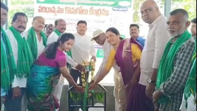 పెద్దపల్లి: వ్యవసాయ మార్కెట్ ఆవరణలో సహకార సంఘం ఆధ్వర్యంలో వరి ధాన్యం కొనుగోలు కేంద్రం ఏర్పాటు