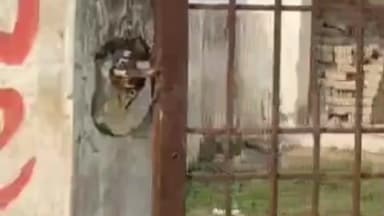 रुधौली: ग्राम पंचायत मैंनी में स्थित आंगनबाड़ी केंद्र बदहाल, ग्रामीणों ने उच्च अधिकारियों से की शिकायत