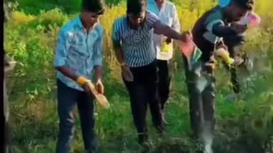 सुवासरा: कुरावन गांव में गौ सेवक ने टेग से गाय मालिक का पता लगाया, बीमार गाय की दी सूचना