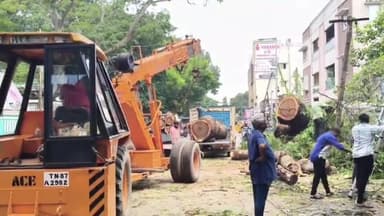 அம்பத்தூர்: வீட்டு வசதி வாரிய குடியிருப்பில் திடீரென முறிந்து விழுந்த 60 ஆண்டு கால பழமையான மரம்