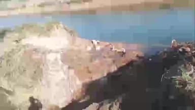 नरवर: ग्राम पीपलखाड़ी में मोहिनी बांध की नहर फूटने से किसानों की फसल खराब, शिकायत लेकर ग्रामीण पहुंचे तहसीलदार के पास