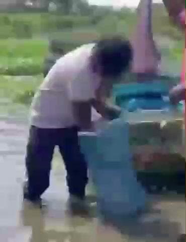 ధరూర్: రేవులపల్లి గ్రామంలోని చెరువులో చేప పిల్లలను వదిలిన అధికారులు