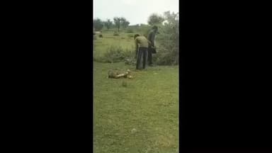 गंगरार: गंगरार में नर्सरी के नाम पर हरे-भरे पेड़ों की कटाई, कार्यवाही नहीं होने पर लोगों में बढ़ा रोष