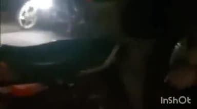 पेठ: नाशिक ते पेठ राष्ट्रीय महामार्गावर बारा साखळ्या परिसरात अंडे वाहतूक करणाऱ्या वाहनाचा अपघात , रस्त्यावर अंड्यांचा पूर