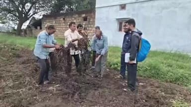 જૂનાગઢ: જિલ્લામાં 2.66 લાખ હેક્ટર વિસ્તારમાં કમોસમી વરસાદથી ખેતી પાકને નુકસાન