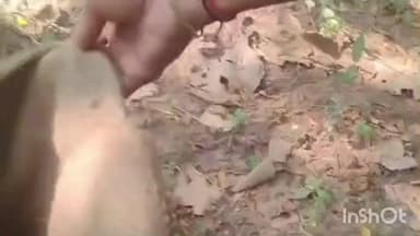 चन्द्रपुरा: फतेहपुर गांव से वन विभाग के अधिकारियों ने 15 फीट के अजगर को रेस्क्यू कर जंगल में छोड़ा