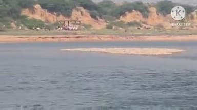 चौथ का बरवाड़ा: चौथ का बरवाड़ा में ऐचेर बगीना रपट पर बहे वृद्ध, 48 घंटे बाद घटना से 400 मीटर दूर मिला आमीन मोहम्मद का शव