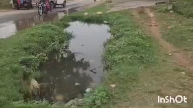 गढ़ी: भीमपुर हाइवे सड़क किनारे पानी से भरा गड्डा बना दलदल, हादसे को दे रहा न्योता, जिम्मेदार बेखबर #jansamasya