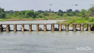 रिसोड: कोल्हापुरी बंधाऱ्यात गेट टाकण्यासंदर्भात शिवसेना उबाठा गट तालुका प्रमुख नारायण आरु यांचे निवेदन