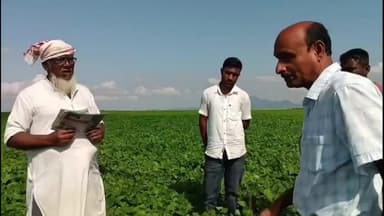 লক্ষীপুৰ: কাতলামাৰী ৰাজহ গাওঁৰ ১১জন খেতিয়কে কৰা ৫০ বিঘা মাটি মাহৰ খেতি পথাৰ পৰিদৰ্শন মাটিৰ মানুহ উন্নয়ন সমিতিৰ সজাতি দলৰ