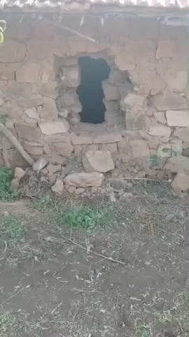 मझगवां: मटिहाचूआ में चोरों ने घर की दीवार फांदकर 25 बकरियां चुराईं, मझगवां थाना पुलिस जांच में जुटी