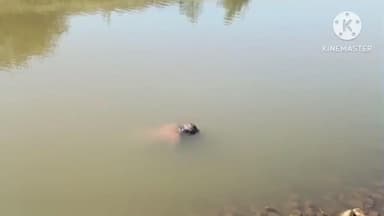 अमरवाड़ा: बड़ेला में नदी में नहाने गए युवक की डूबने से हुई मौत, पुलिस ने मामला दर्ज किया