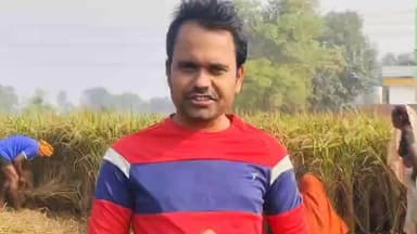 बारा: यमुनापार क्षेत्र में बारिश के बाद खड़ी धान की फसलों में लग रहा कंडों रोग, किसानों को हो रहा काफी नुकसान