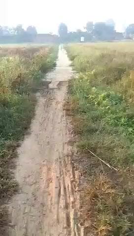 गोलाबाद ग्राम पंचायत में क्षेत्र पंचायत द्वारा बनाए गए आधी अधूरी बनाई गई सड़क जर्जर #cm #pm