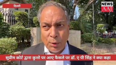 सुप्रीम कोर्ट द्वारा कुत्तो पर आए फैसले पर डॉ. ए पी सिंह ने क्या कहा
#greaternoida #uttarpradesh #delhi #delhincr #delhi...