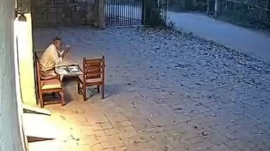 ब्रह्मपूरी: ब्रह्मपुरी वाघाच्या हल्ल्याचा व्हिडिओ बनावट वनविभागाचे स्पष्टीकरण