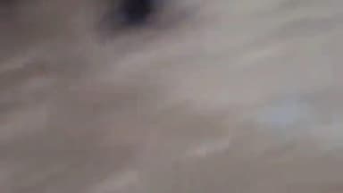 नसीराबाद: श्रीनगर थाना क्षेत्र के कानपुर रोड पर रास्ते को लेकर खूनी विवाद, चाचा-भतीजे ने किया कुल्हाड़ी से हमला, पिता-पुत्र घायल