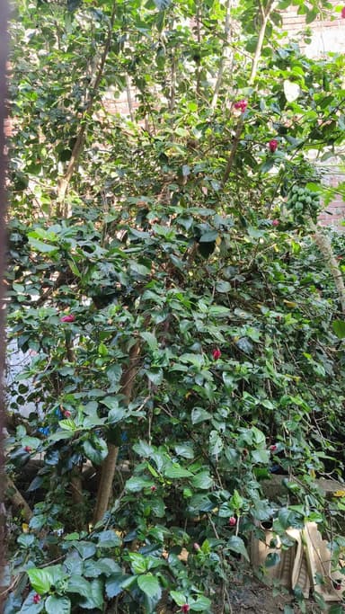 #reels#shorts#publicappreels@@