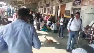 मुशहरी: जंक्शन पर आवारा कुत्तों का आतंक, यात्रियों में दहशत